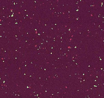 Линолеум Taralay Premium Compact Indiana 4145 MADURA фото 1 | FLOORDEALER